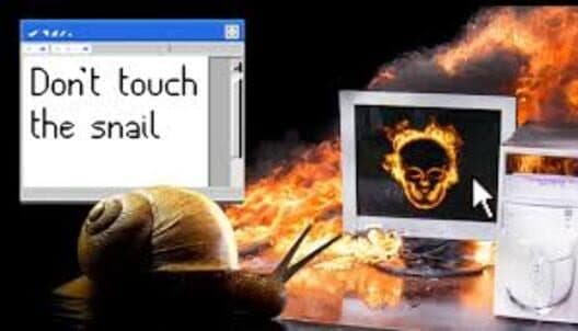 Don't Touch the Snail cover art