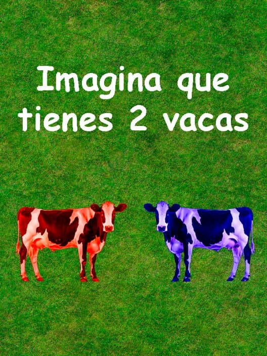 Imagina que tienes 2 vacas cover art