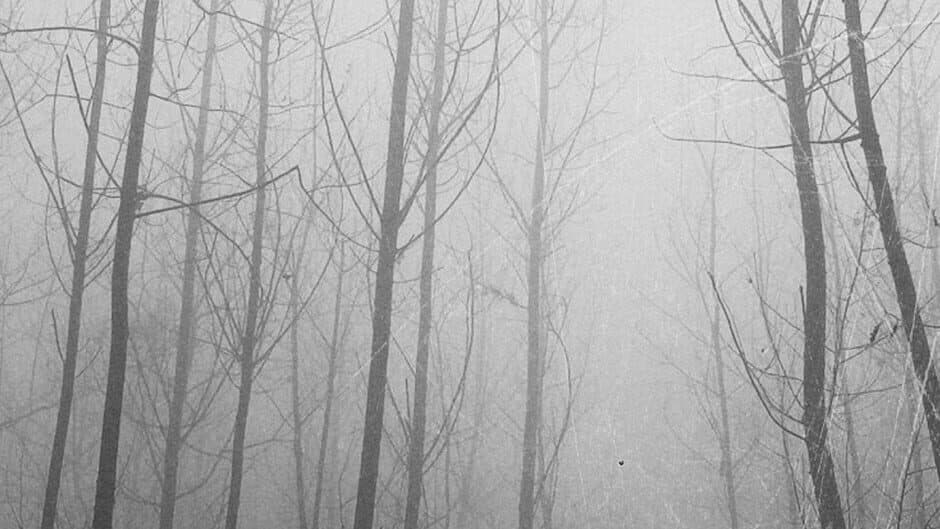 Aberration Town banner