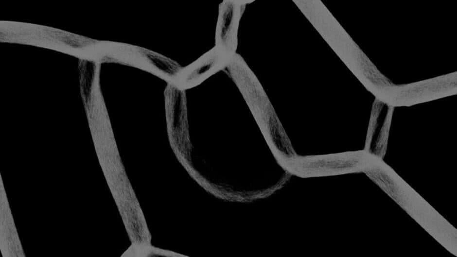 Physarum: Slime Mold Simulator banner