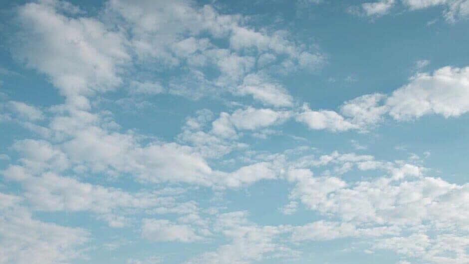 Timothy Leary's Mind Mirror banner