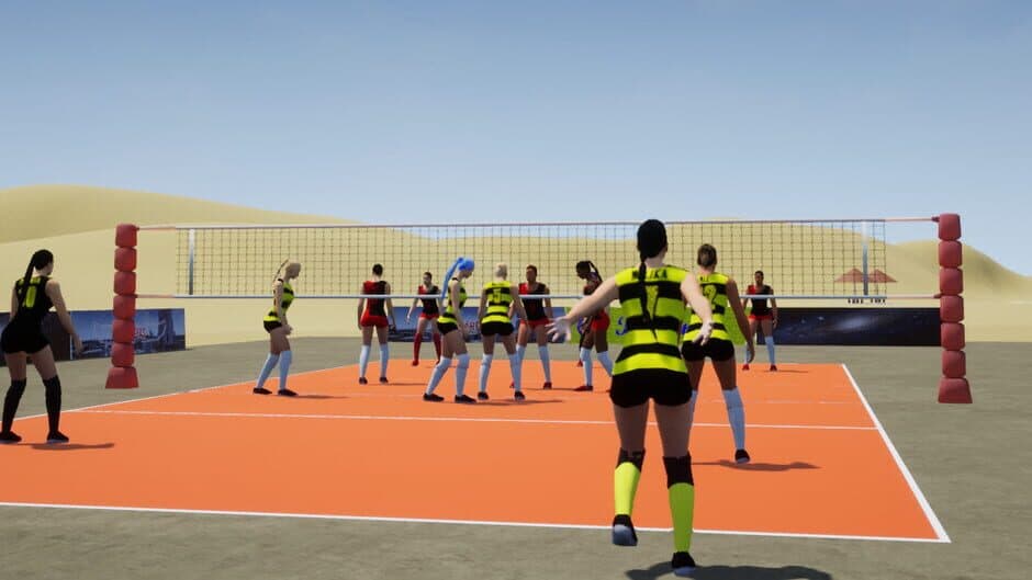 Lactea Volleyball banner