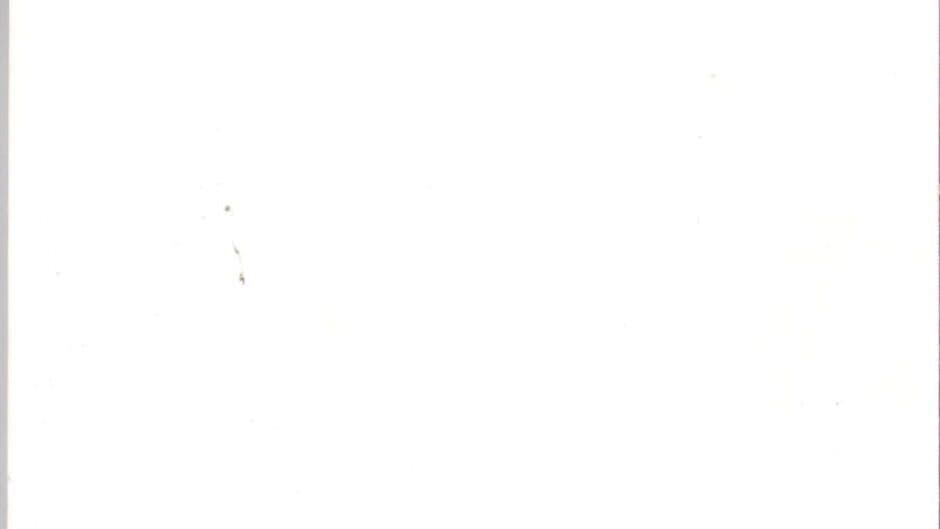 Cohen's Towers banner