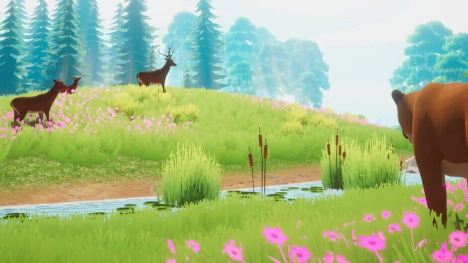 Pandora: Wild Origins banner