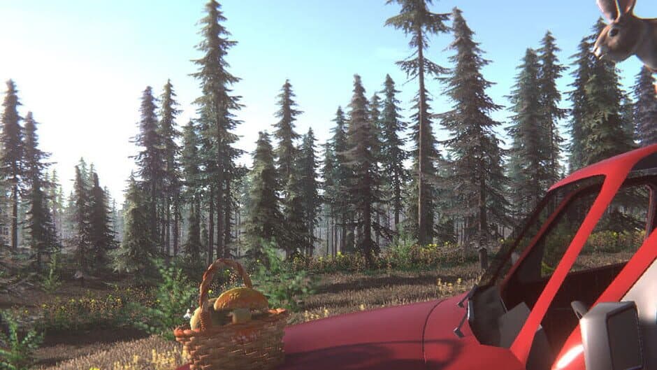 Mushroom Challenge banner