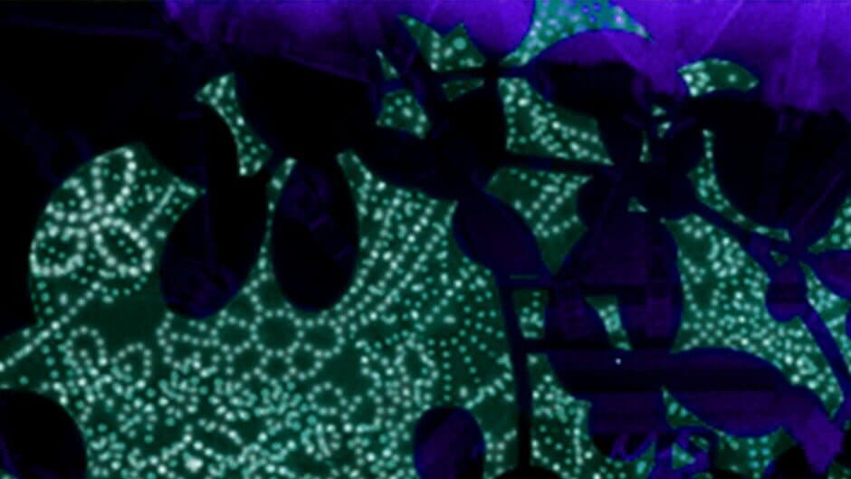 Touhou Chireiden: Subterranean Animism banner