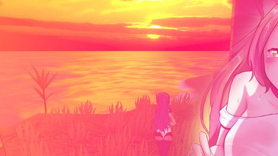 Anime Collector: Evo banner