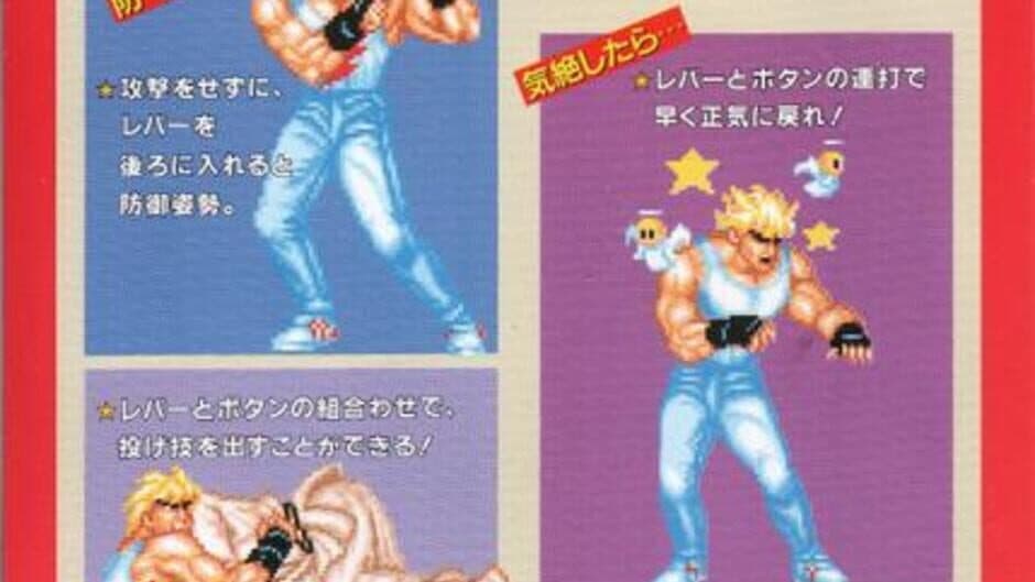 Fighter's History banner