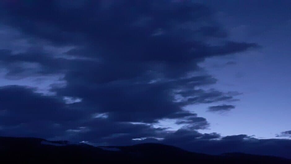 BorderCollie Blaster banner