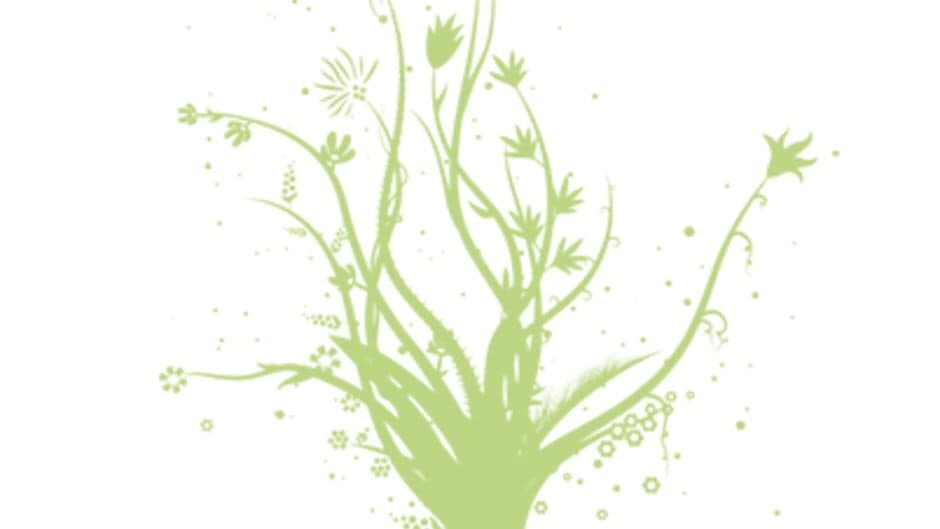 Fragile Soft Machines banner