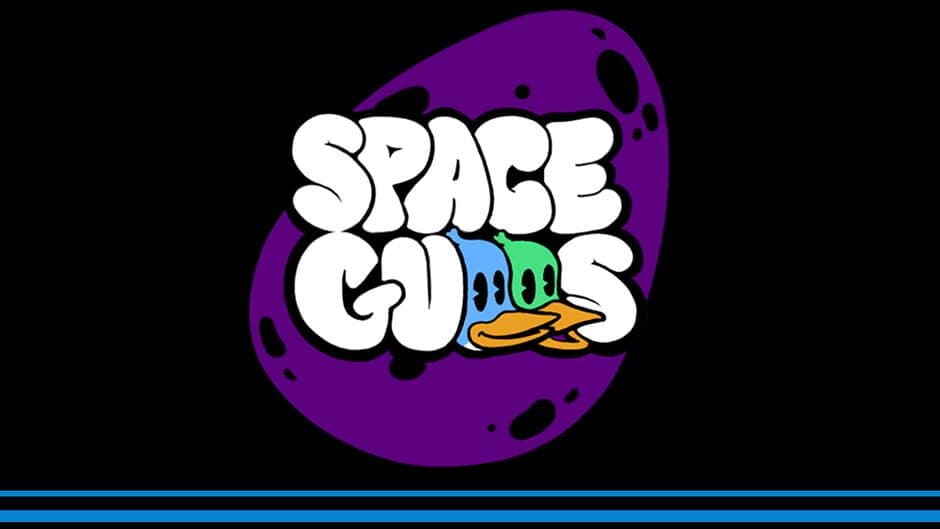 Spacegulls banner