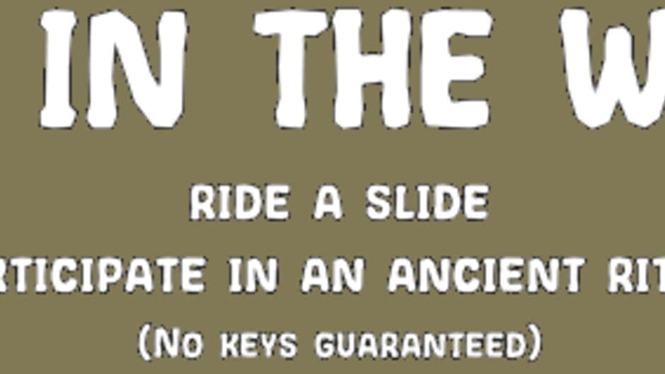 Slide in the Woods banner