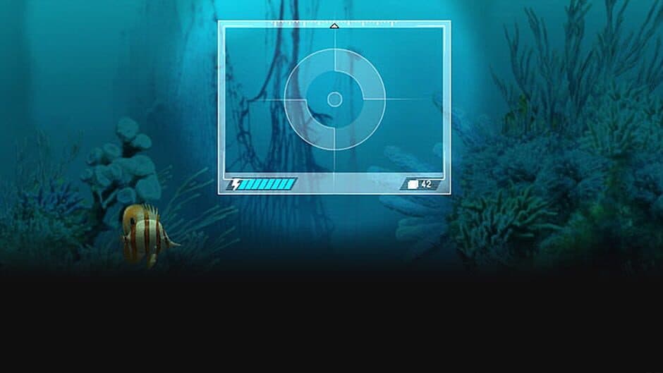 Caribbean Sea Fishes banner