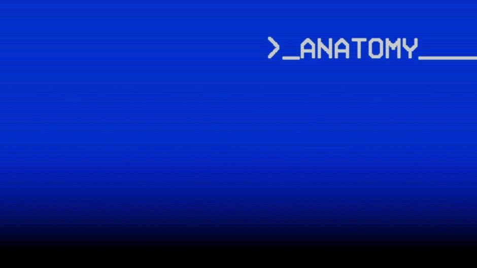 Anatomy banner