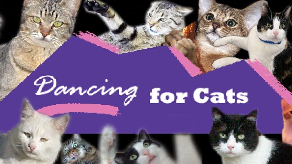 Dancing For Cats banner