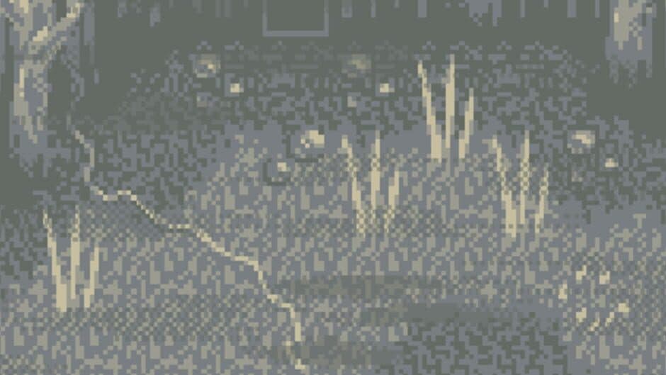 Wire Wood Daughters banner