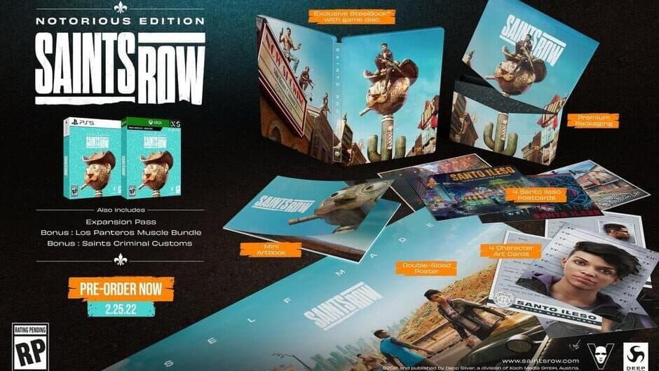 Saints Row: Notorious Edition banner
