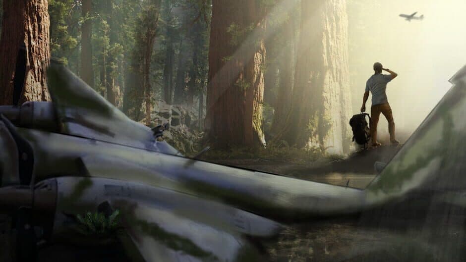 Missing Plane: Survival banner