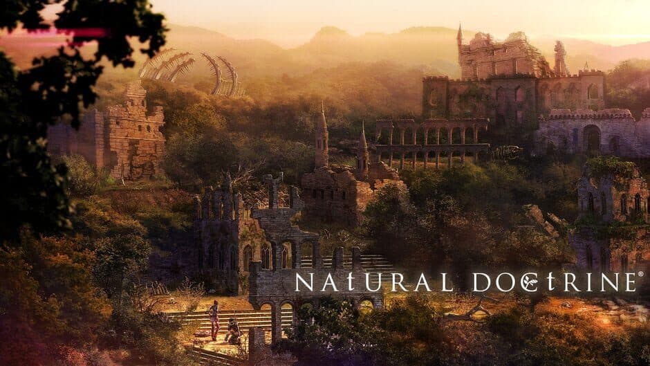 Natural Doctrine banner