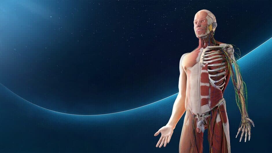 Human Anatomy VR banner