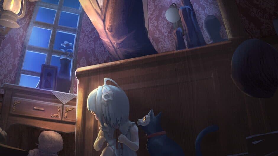 Light: Black Cat & Amnesia Girl banner