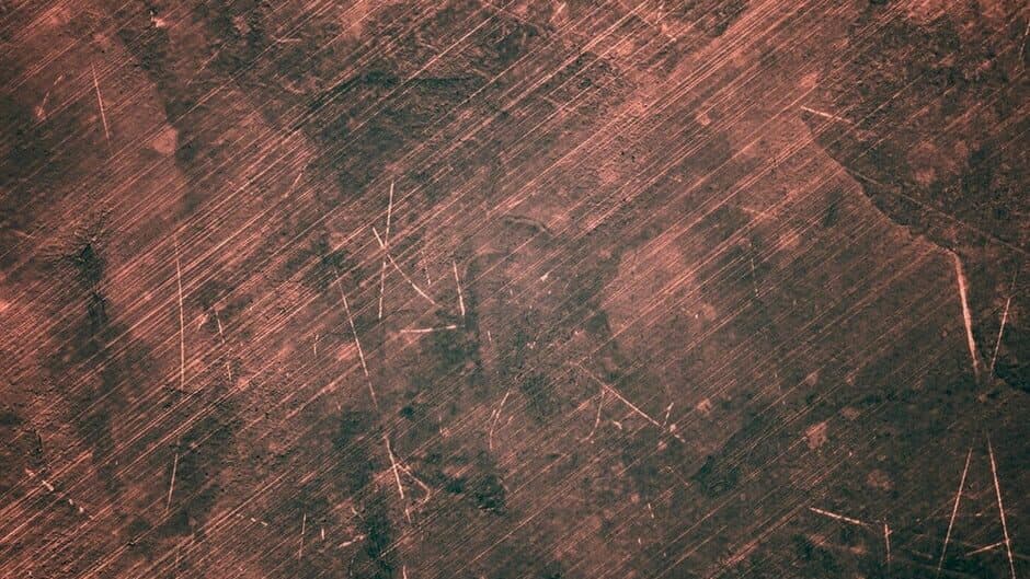 The House of Big people banner