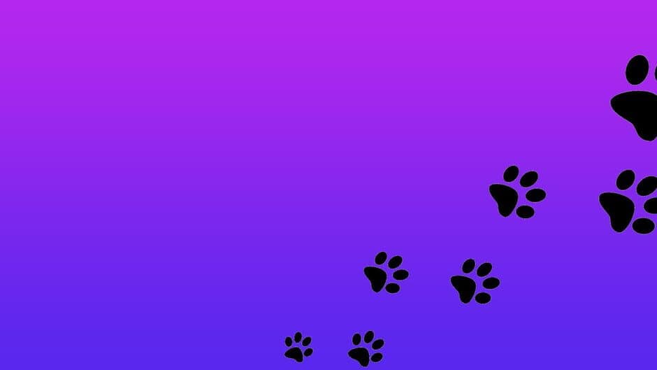 Roxy Raccoon's Pinball Panic banner