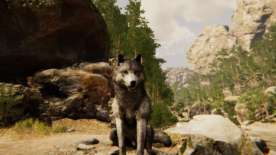 Animal Simulator banner