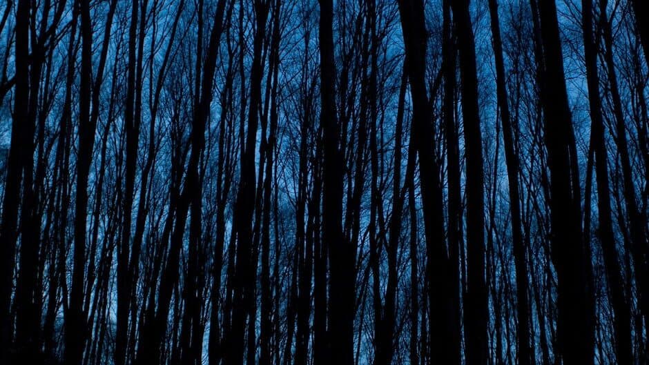 Dark Haunting banner