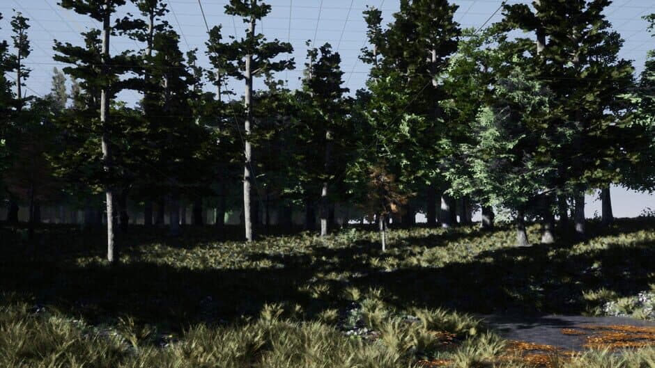 Swords Fantasy: Battlefield banner