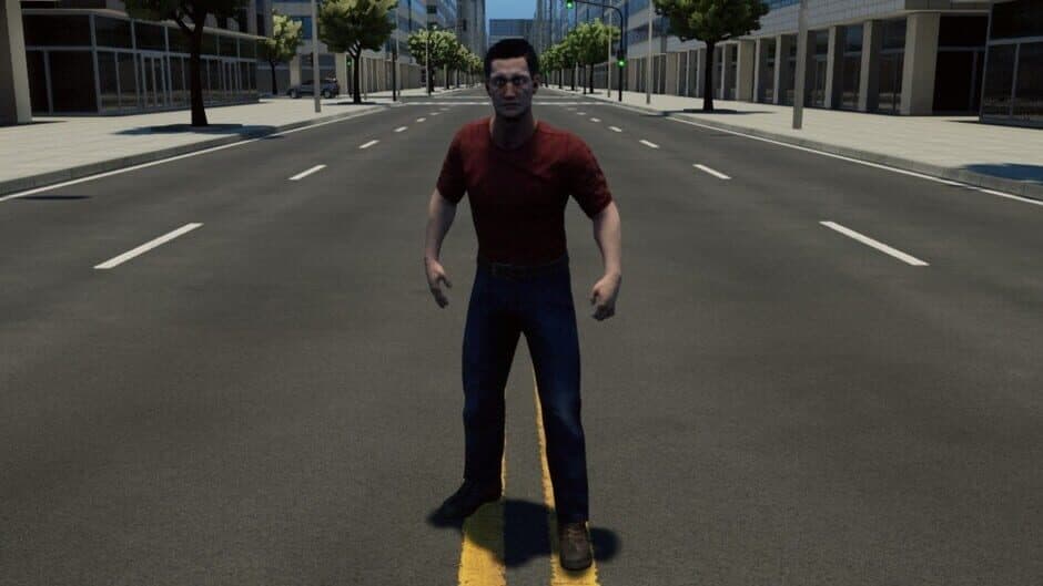 Crash Test Idiot banner