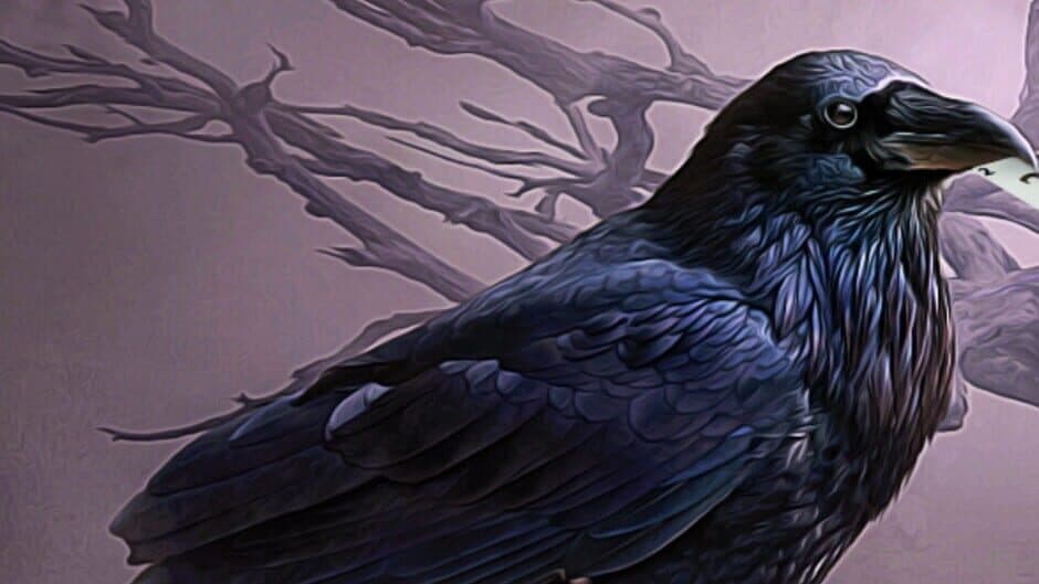 Mystery Solitaire: The Black Raven 2 banner