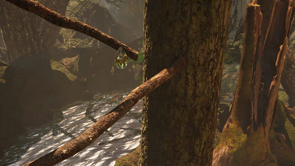 Nature's Habit banner