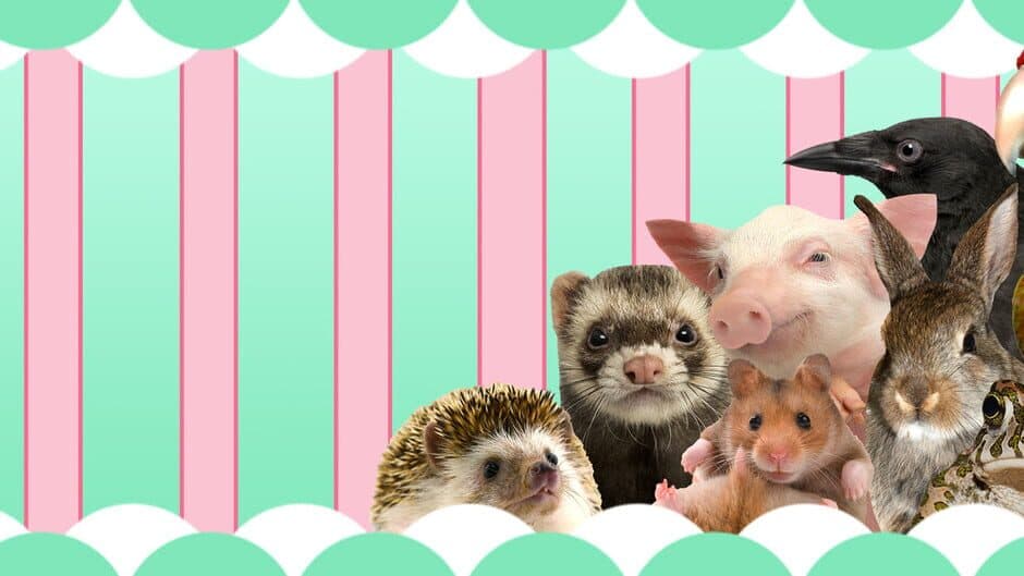 I Love Finding Critters banner