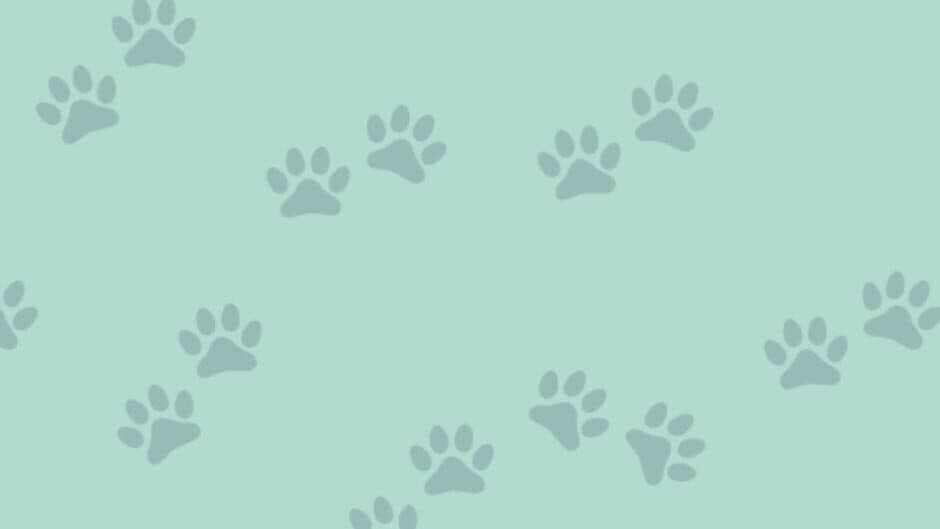 1001 Jigsaw: Cute Cats banner
