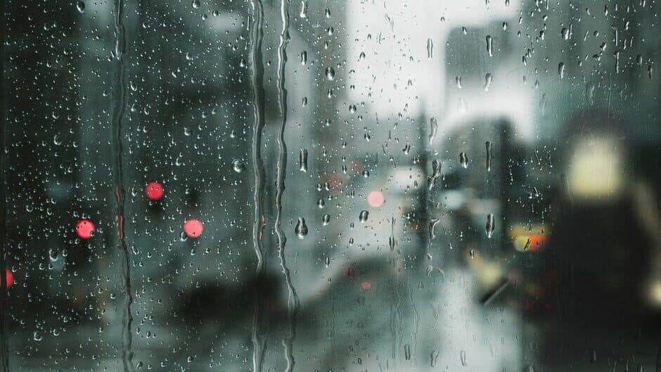 Bacterial Edge banner