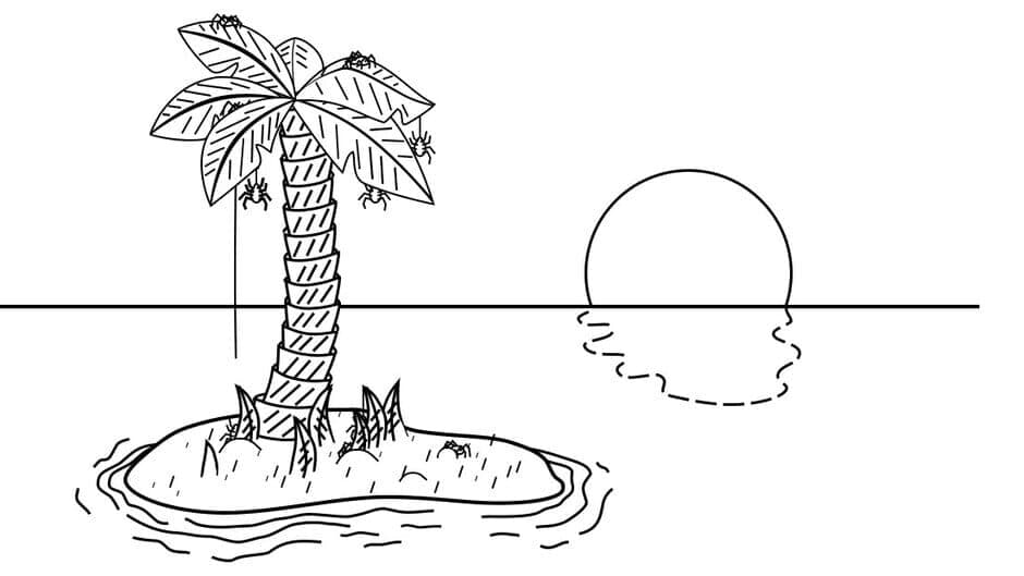 Mysterious Island: A Hidden Object Adventure banner