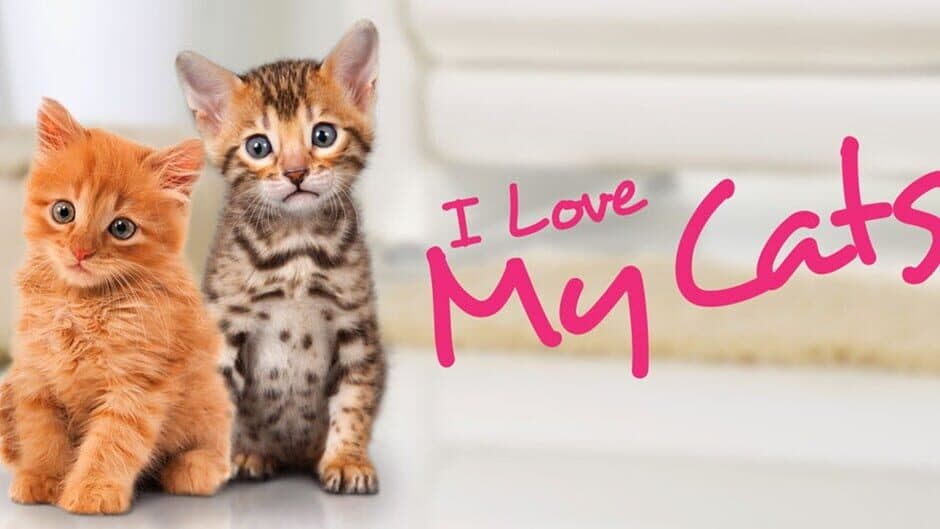 I Love my Cats banner