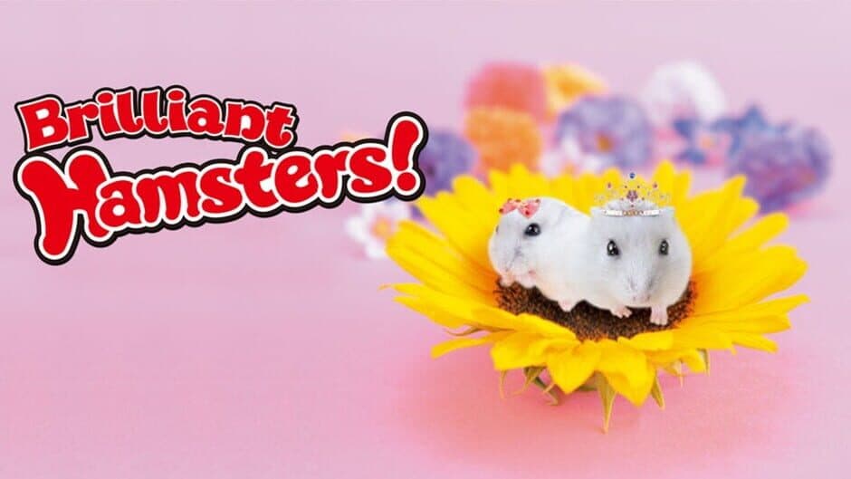 Brilliant Hamsters! banner