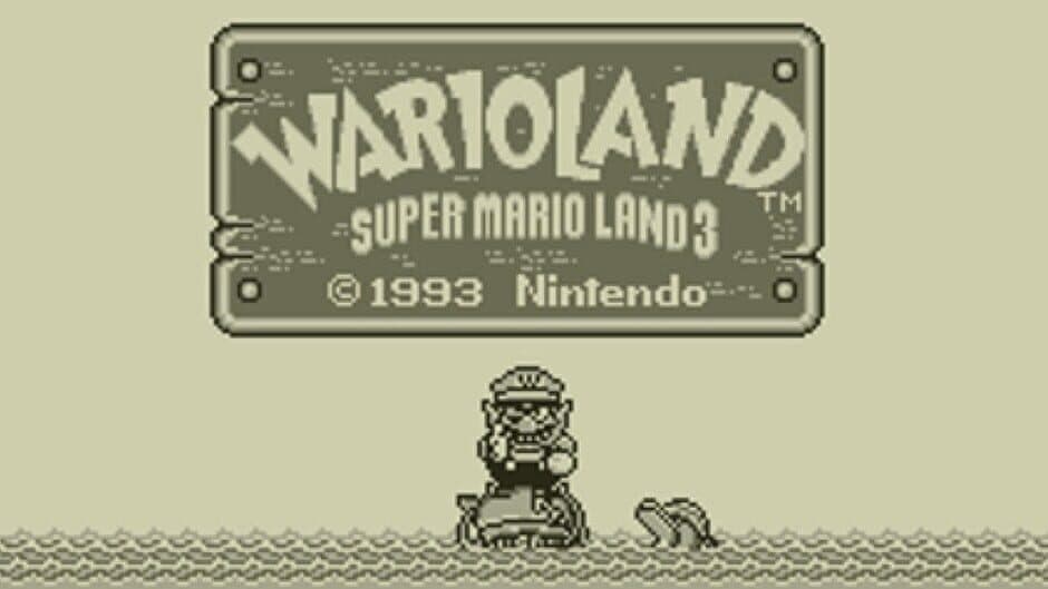 Wario Land: Super Mario Land 3 banner