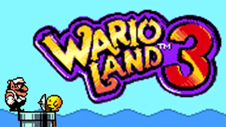Wario Land 3 banner