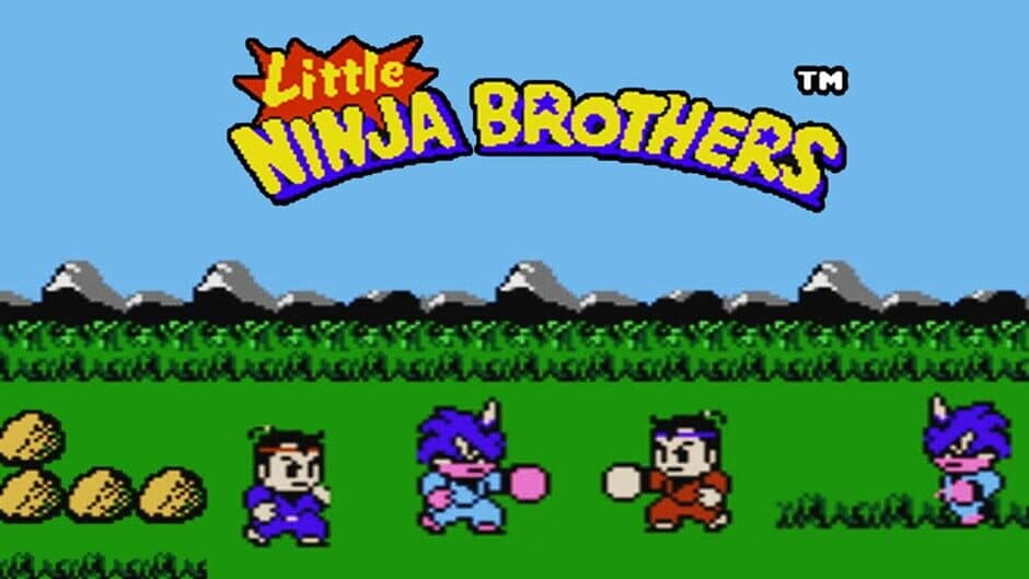 Little Ninja Brothers banner