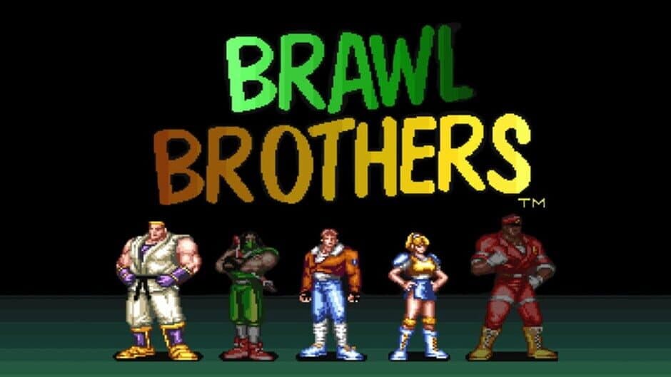 Brawl Brothers banner