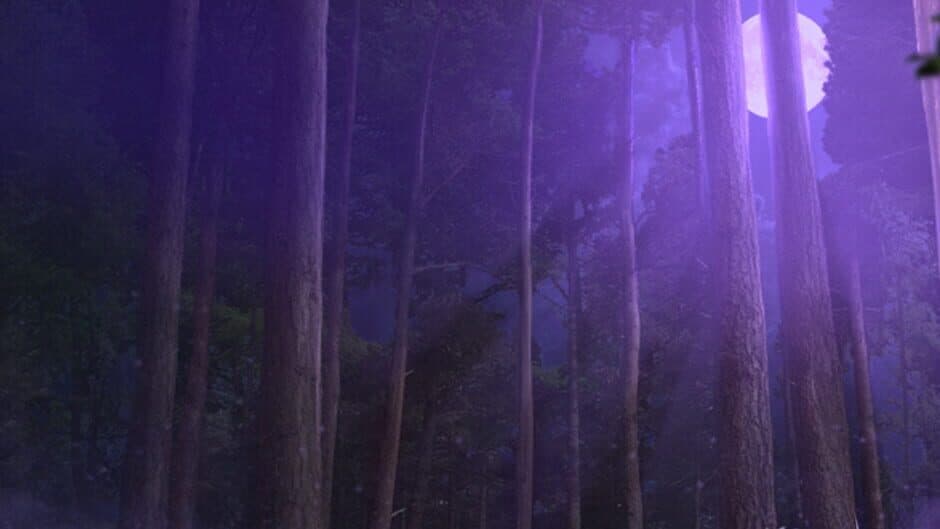 Edge of Reality: Lost Secrets of the Forest - Collector's Edition banner