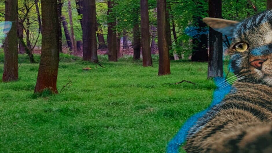 Suddenly Meow 2 banner