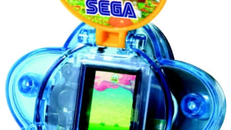 Cream Flower Catch banner