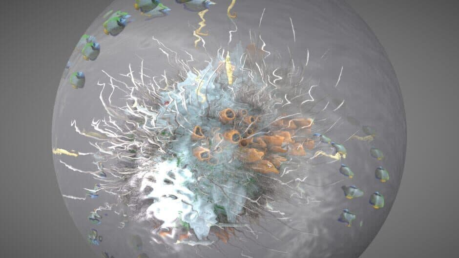 Vico 2: Save the Children banner