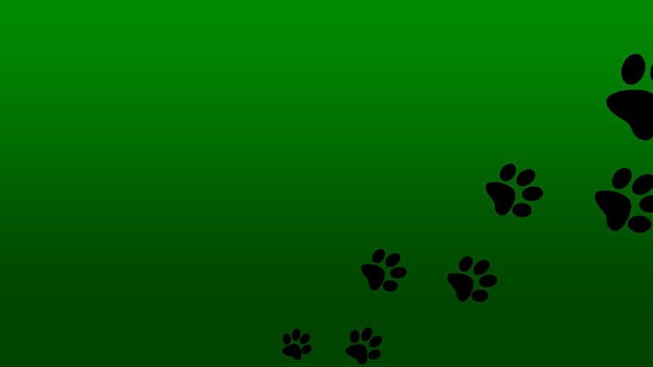 Roxy Raccoon's Bowling Bash banner