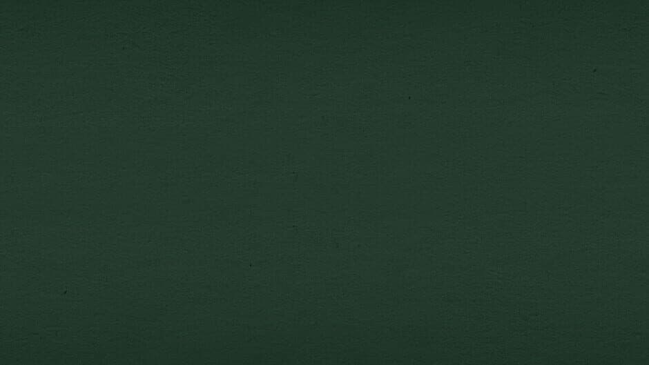 Cats Love Boxes banner