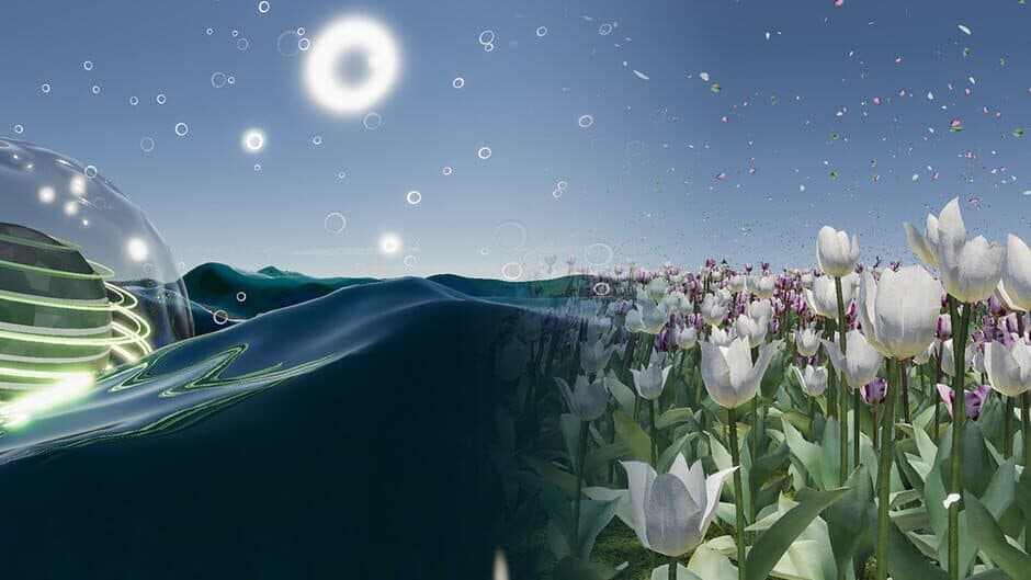 The Ball Flow: Nature and Light banner